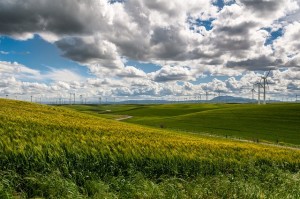 wind-farm-turbines