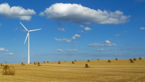 wind-turbine-in-field